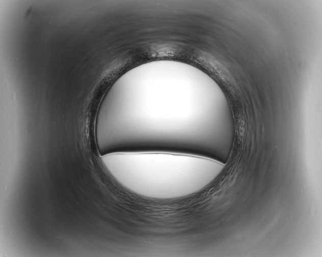 X0000098180543200804241032