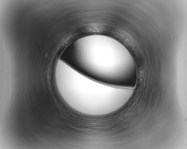 X0000098180544200804241032
