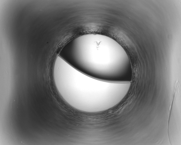 X0000098180546200804241032