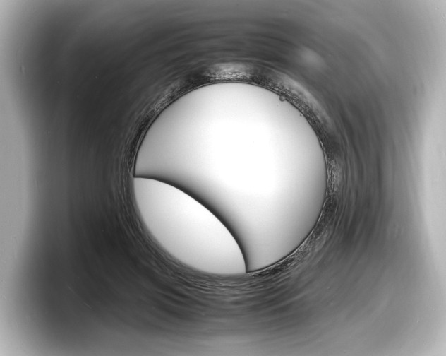 X0000098180549200804241032