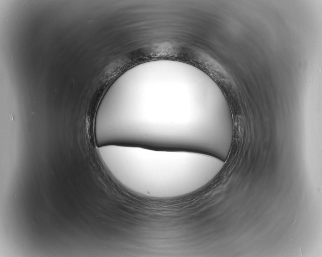 X0000098180550200804241032