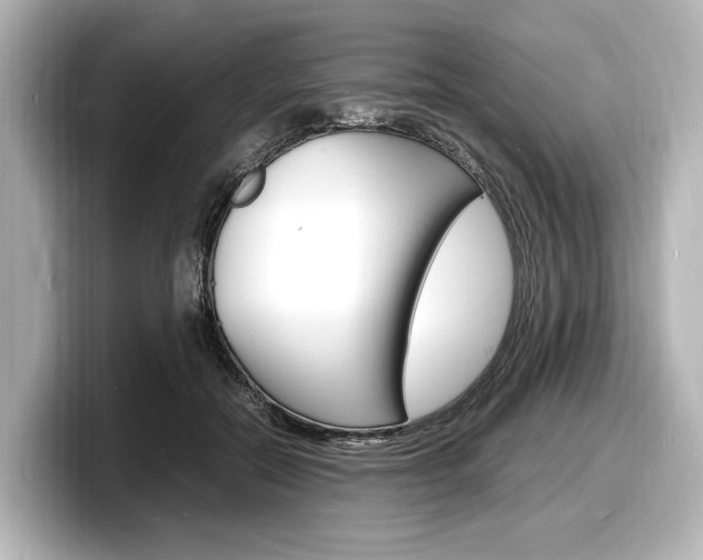 X0000098180554200804241032