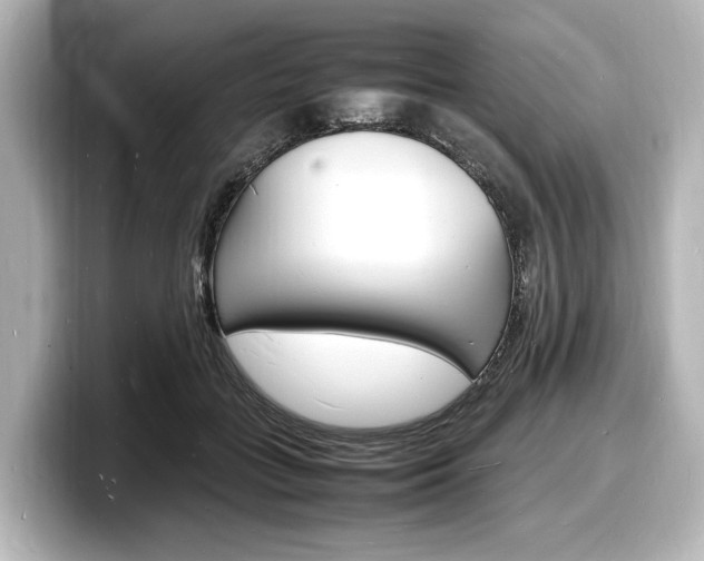 X0000098180555200804241032