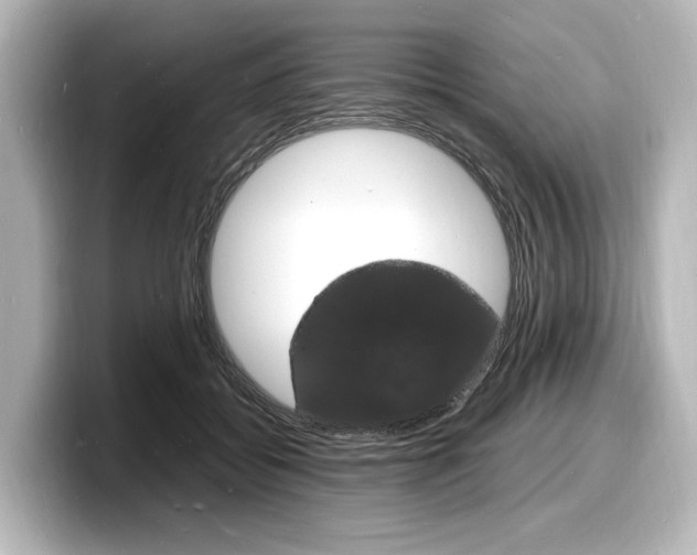 X0000098180556200804241032