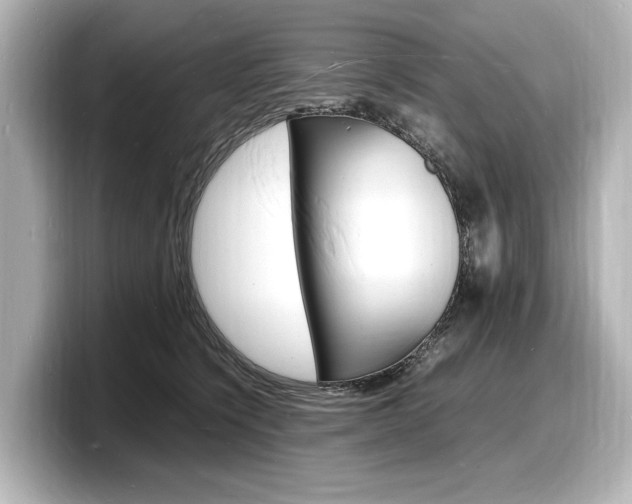 X0000098180564200804241032