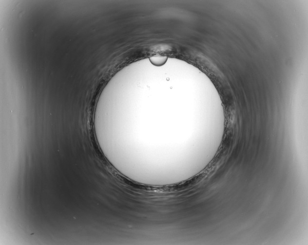 X0000098180565200804241032