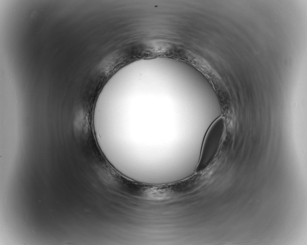 X0000098180568200804241033