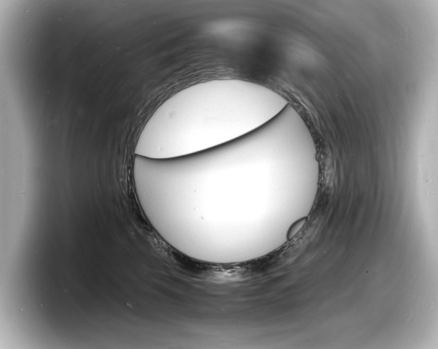 X0000098180569200804241033