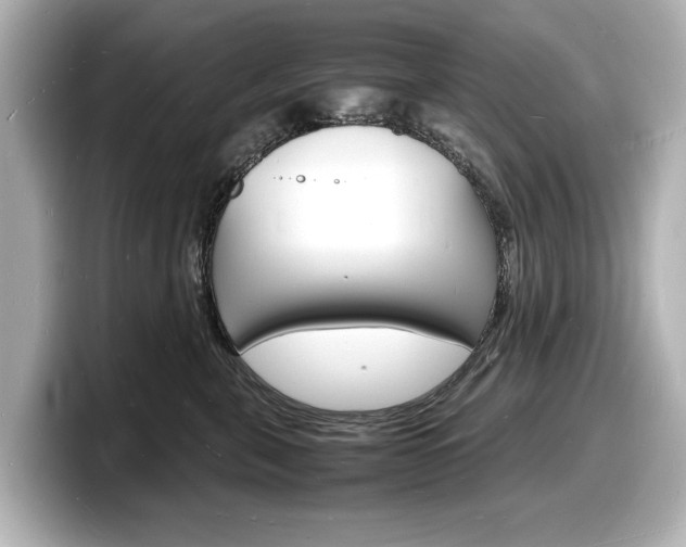 X0000098180571200804241033