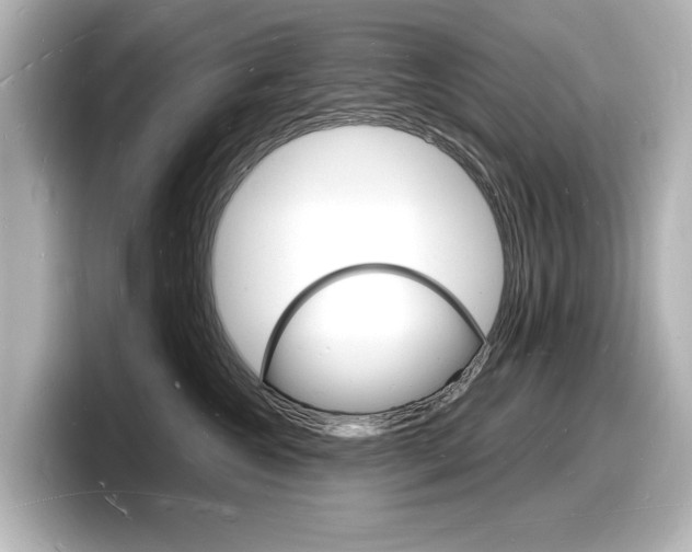 X0000098180572200804241033