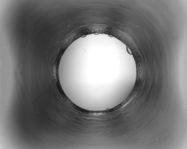 X0000098180575200804241033