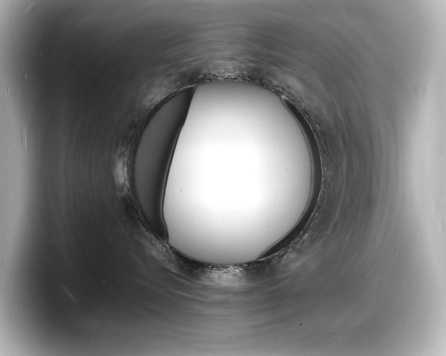 X0000098180576200804241033