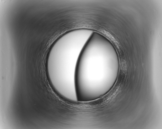 X0000098180577200804241032