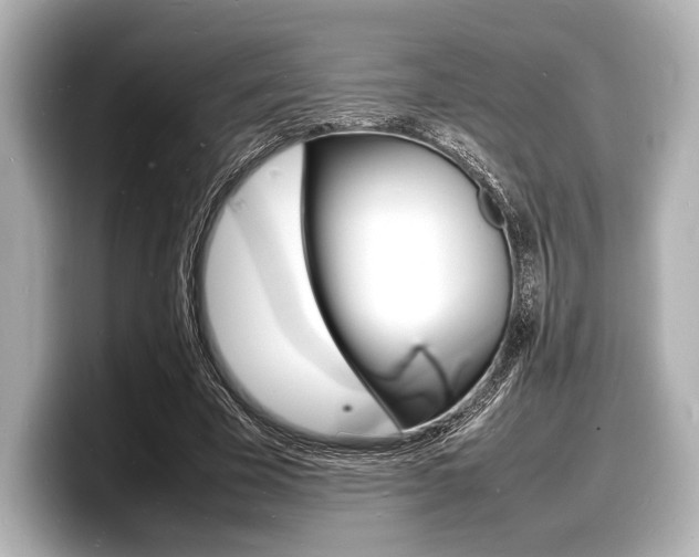 X0000098180585200804241032
