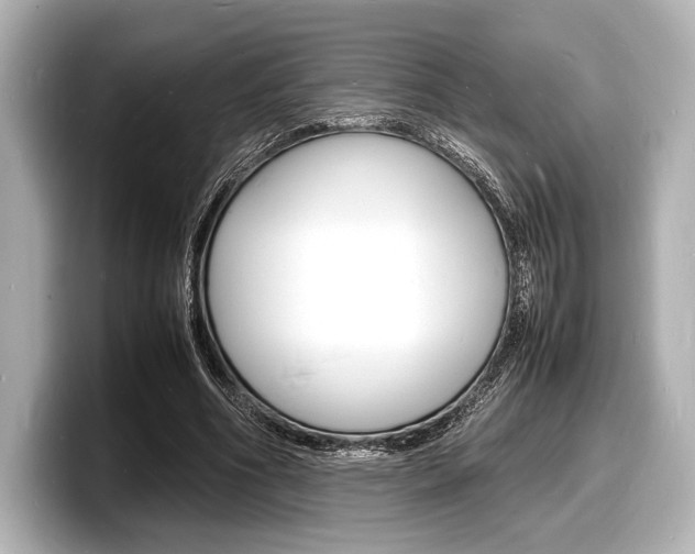 X0000098180586200804241032