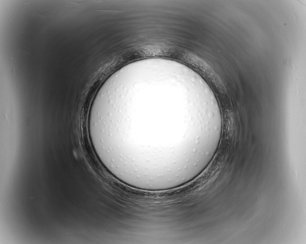 X0000098180590200804241032