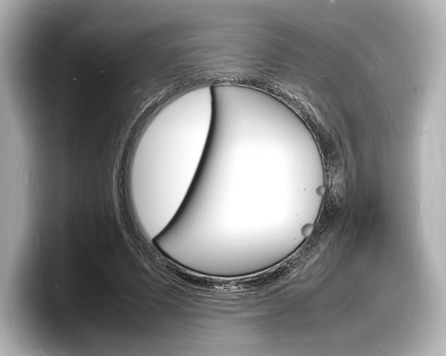X0000098180591200804241032