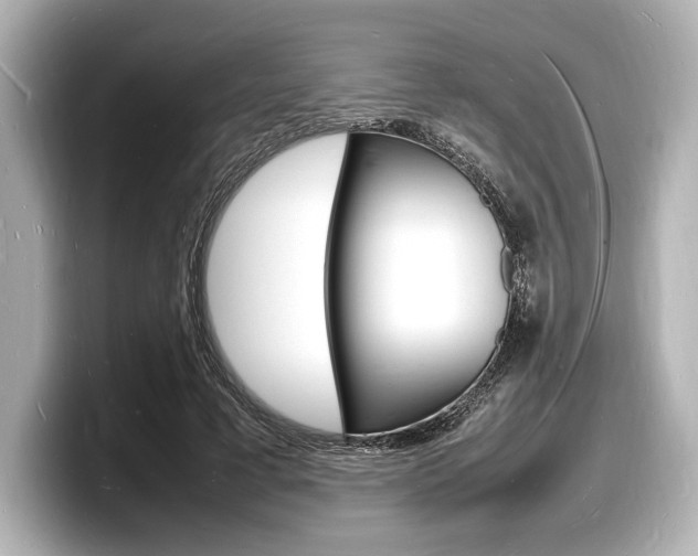 X0000098180593200804241032