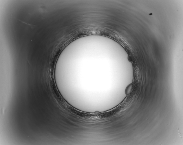 X0000098180594200804241032