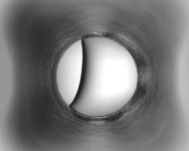 X0000098180595200804241032