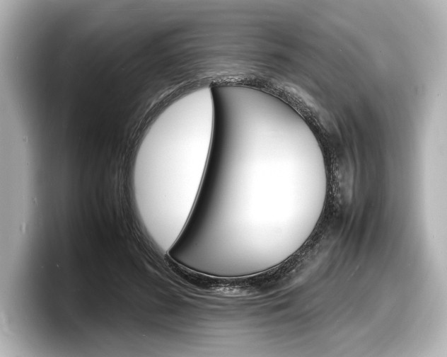 X0000098180596200804241032