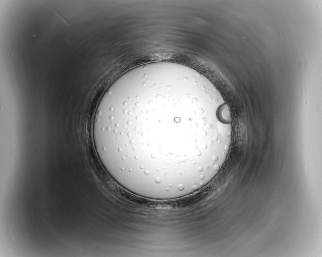 X0000098180598200804241032