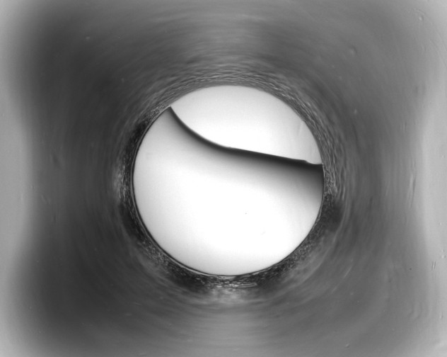 X0000098180599200804241032