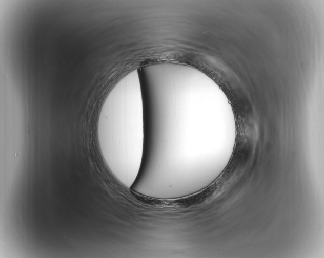 X0000098180603200804241032