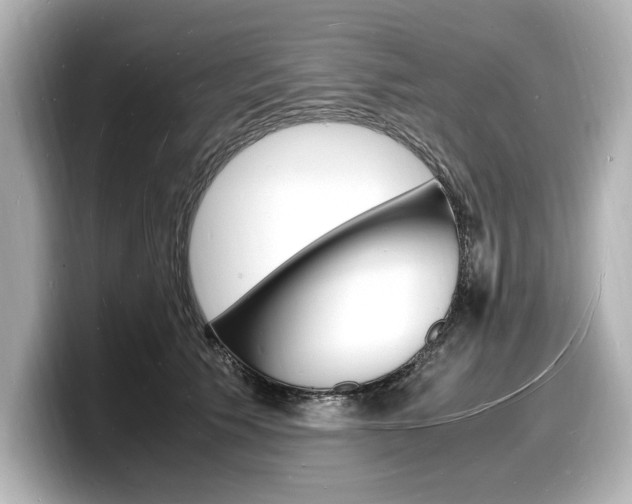 X0000098180609200804241032