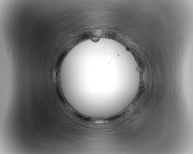 X0000098180611200804241032