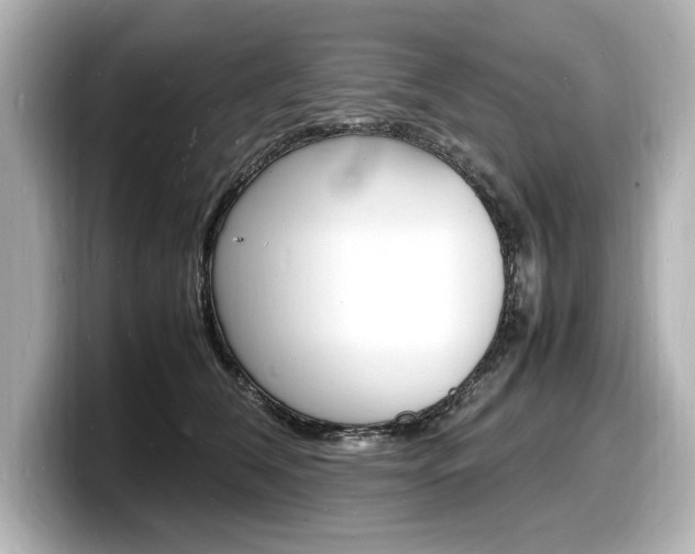X0000098180612200804241032