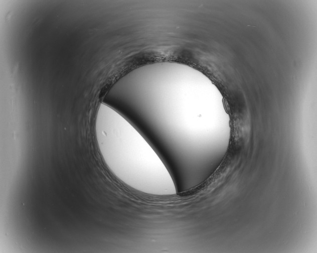 X0000098180613200804241032