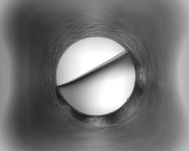 X0000098180615200804241031