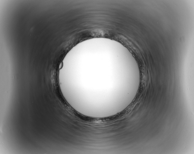 X0000098180616200804241031