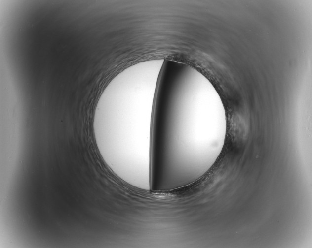 X0000098180617200804241031