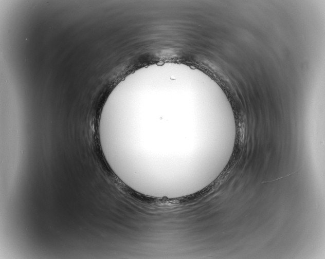 X0000098180618200804241031