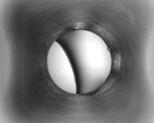 X0000098180620200804241031