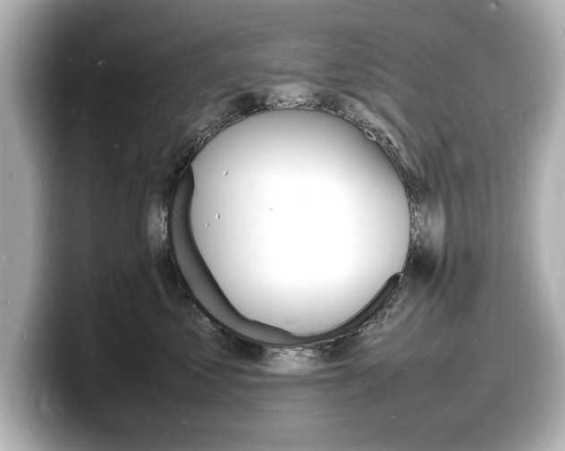 X0000098180621200804241031