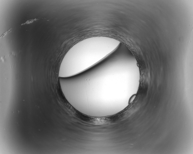 X0000098180623200804241031