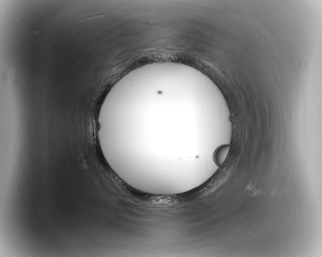 X0000098180624200804241031