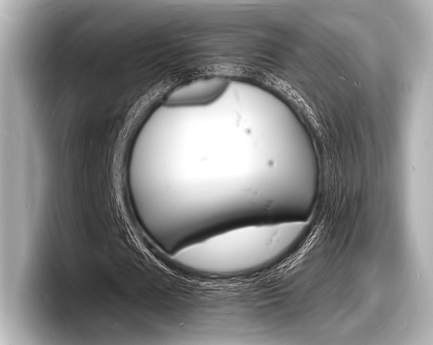 X0000098180625200804241031