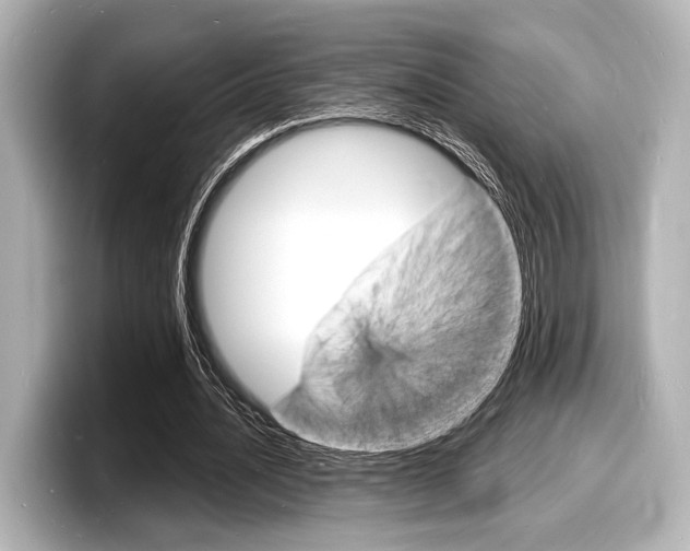 X0000098180628200804241031