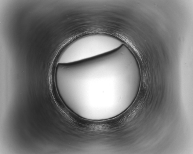 X0000098180629200804241031