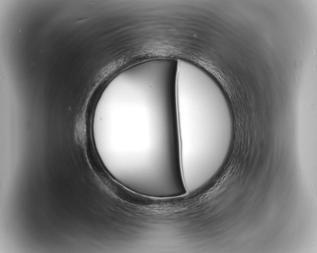 X0000098180630200804241031