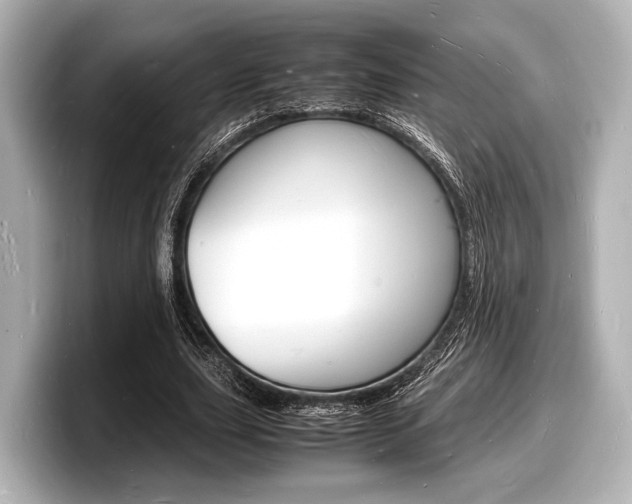 X0000098180631200804241031
