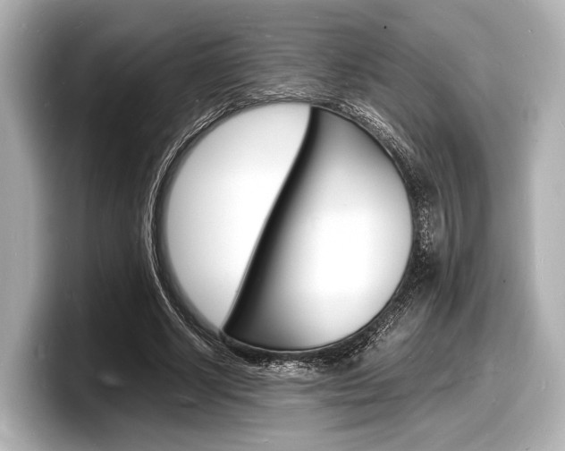 X0000098180634200804241031