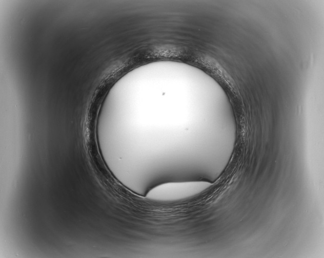 X0000098180635200804241031