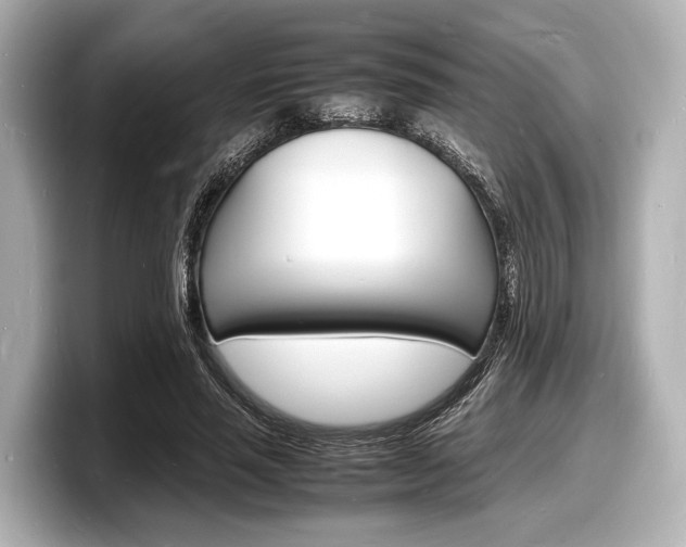 X0000098180637200804241031