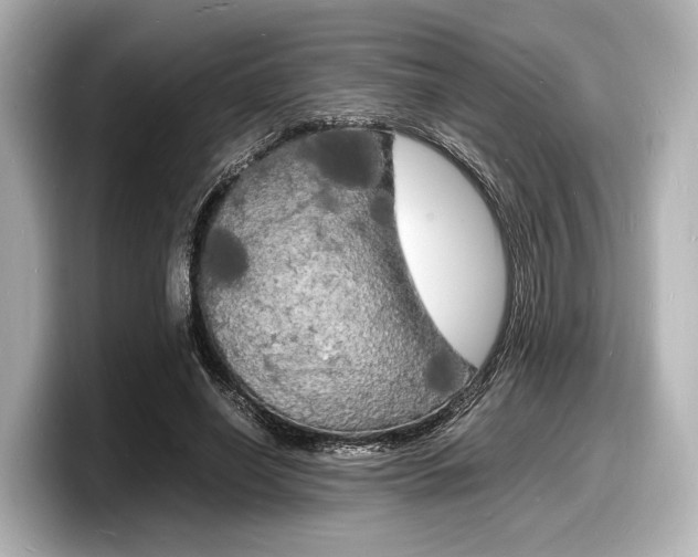 X0000098180638200804241031