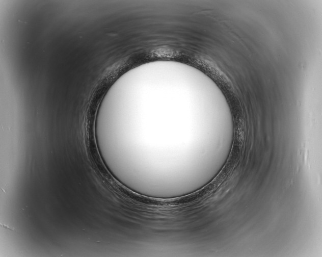 X0000098180639200804241031